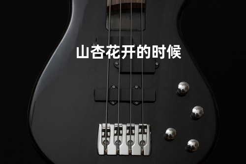 山杏花开的时候