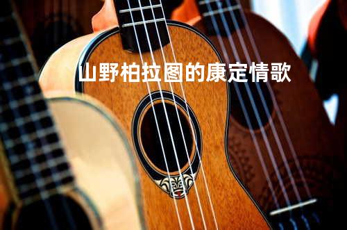 山野-柏拉图的康定情歌