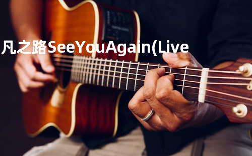 平凡之路+See You Again(Live)