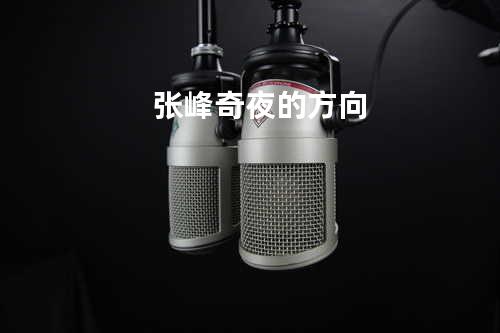 张峰奇 夜的方向
