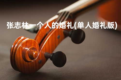 张志林-一个人的婚礼(单人婚礼版)