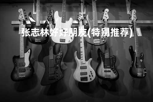 张志林-好好朋友(特别推荐)