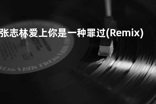 张志林-爱上你是一种罪过(Remix)