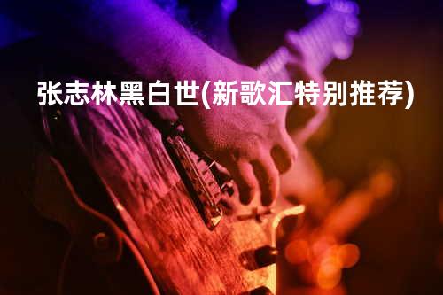 张志林-黑白世(新歌汇特别推荐)