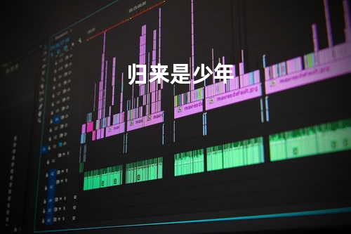 归来是少年