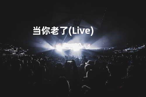 当你老了(Live)