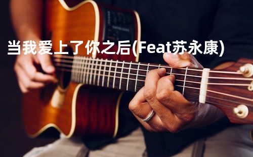 当我爱上了你之后(Feat. 苏永康)