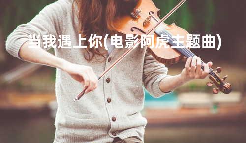当我遇上你(电影阿虎主题曲)