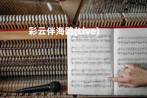彩云伴海鸥 (Live)