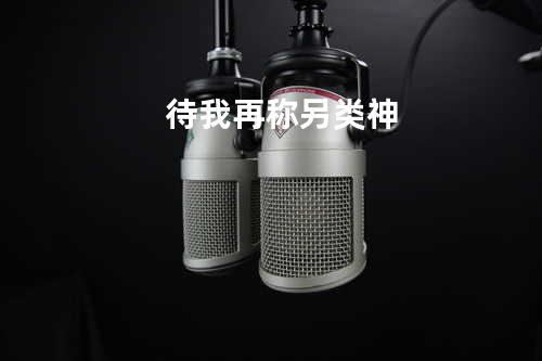 待我再称另类神