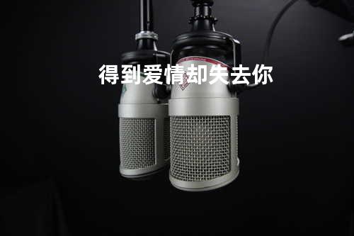 得到爱情却失去你