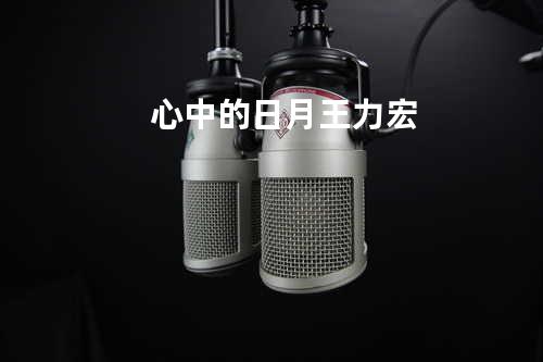 心中的日月/王力宏