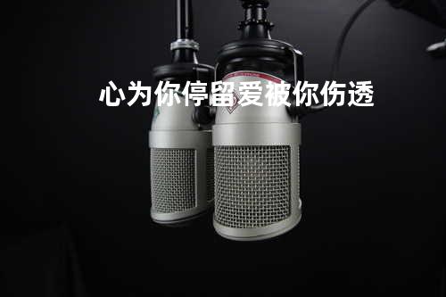 心为你停留爱被你伤透