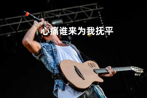 心痛谁来为我抚平