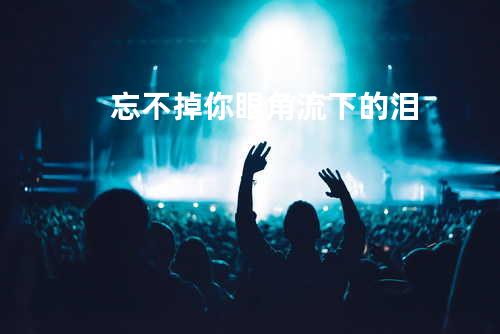 忘不掉你眼角流下的泪