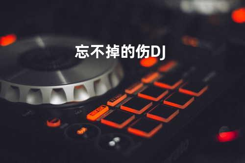 忘不掉的伤 - DJ
