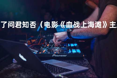 忘了问君知否(电影《血战上海滩》主题歌)