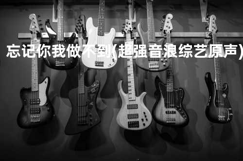 忘记你我做不到(超强音浪综艺原声)
