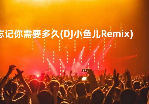 忘记你需要多久(DJ 小鱼儿 Remix)