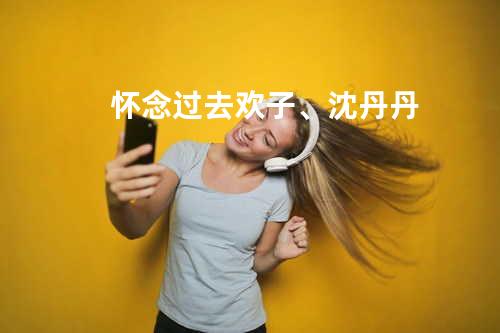 怀念过去 - 欢子、沈丹丹
