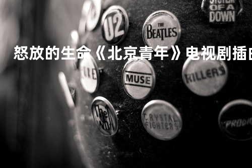 怒放的生命 《北京青年》电视剧插曲