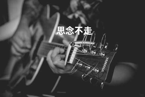 思念不走