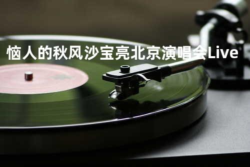 恼人的秋风 - 沙宝亮北京演唱会Live