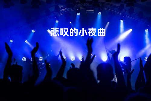 悲叹的小夜曲