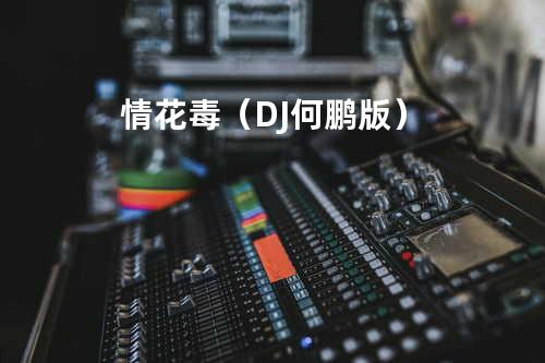 情花毒(DJ何鹏版)