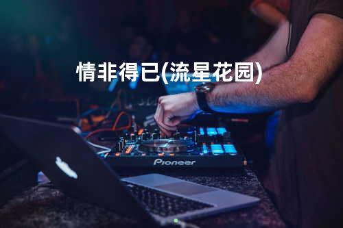 情非得已 (流星花园)