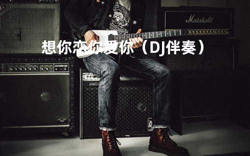 想你恋你爱你(DJ伴奏)