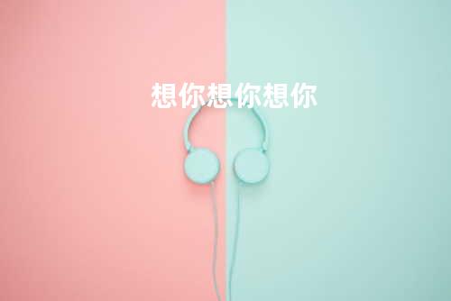 想你想你想你