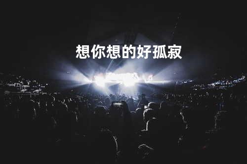 想你想的好孤寂