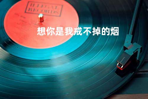 想你是我戒不掉的烟