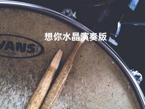 想你 水晶演奏版