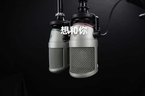想和你
