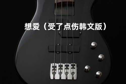 想爱(受了点伤韩文版)