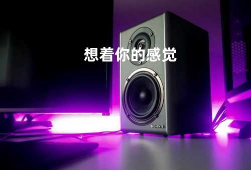 想着你的感觉