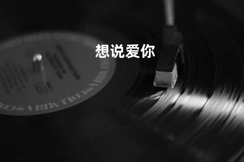 想说爱你