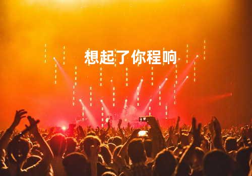 想起了你程响