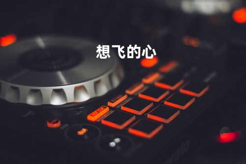 想飞的心