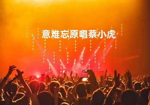 意难忘 原唱:蔡小虎