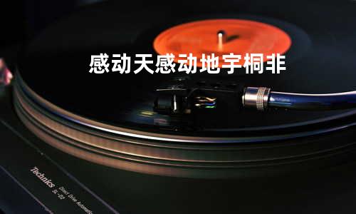 感动天感动地 - 宇桐非