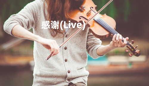 感谢 (Live)