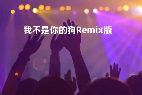 我不是你的狗 Remix版