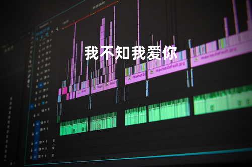 我不知我爱你