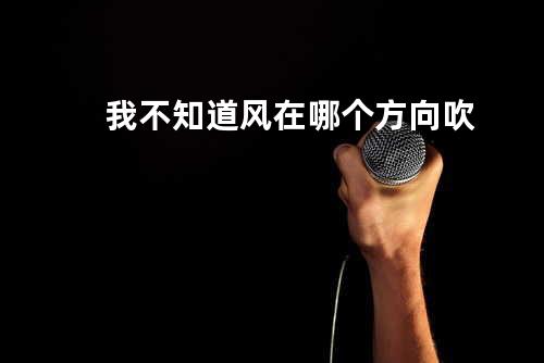 我不知道风在哪个方向吹