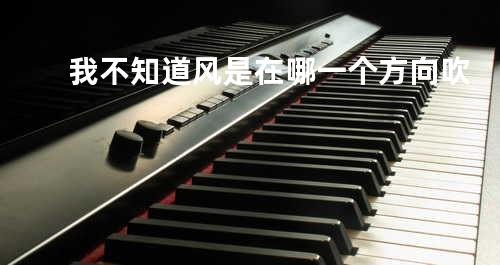 我不知道风是在哪一个方向吹