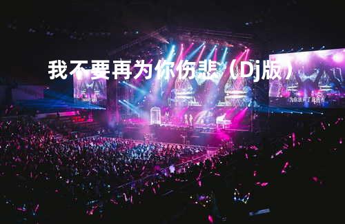 我不要再为你伤悲(Dj版)