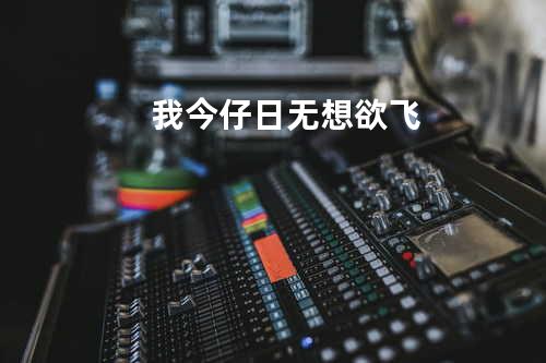 我今仔日无想欲飞